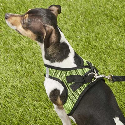 Show full view: Best Pet Supplies Voyager All Season Mesh Dog Harness, Lime Green, Medium slide 8 of 10