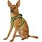 Show in main carousel: Best Pet Supplies Voyager All Season Mesh Dog Harness, Lime Green, Small slide 5 of 10