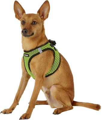 Show full view: Best Pet Supplies Voyager All Season Mesh Dog Harness, Lime Green, Small slide 5 of 10