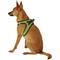 Show in main carousel: Best Pet Supplies Voyager All Season Mesh Dog Harness, Lime Green, Small slide 6 of 10