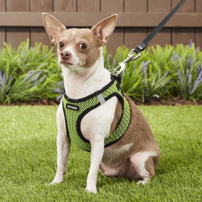 Show full view: Best Pet Supplies Voyager All Season Mesh Dog Harness, Lime Green, Small slide 7 of 10