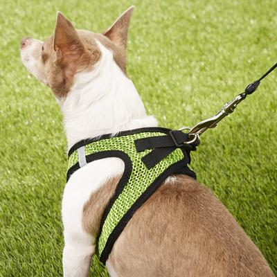 Show full view: Best Pet Supplies Voyager All Season Mesh Dog Harness, Lime Green, Small slide 8 of 10