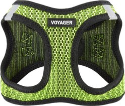 Best Pet Supplies Voyager All Season Mesh Dog Harness, Lime Green, X-Small
