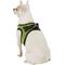 Show in main carousel: Best Pet Supplies Voyager All Season Mesh Dog Harness, Lime Green, X-Small slide 7 of 11