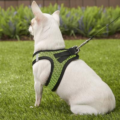 Show full view: Best Pet Supplies Voyager All Season Mesh Dog Harness, Lime Green, X-Small slide 9 of 11