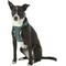 Show in main carousel: Best Pet Supplies Voyager All Season Mesh Dog Harness, Turquoise, Large slide 5 of 10