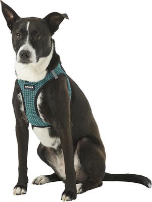 Show full view: Best Pet Supplies Voyager All Season Mesh Dog Harness, Turquoise, Large slide 5 of 10
