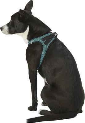 Show full view: Best Pet Supplies Voyager All Season Mesh Dog Harness, Turquoise, Large slide 6 of 10