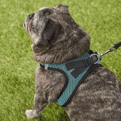 Show full view: Best Pet Supplies Voyager All Season Mesh Dog Harness, Turquoise, Large slide 8 of 10