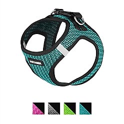 Best Pet Supplies Voyager All Season Mesh Dog Harness, Turquoise, Medium slide 2 of 8