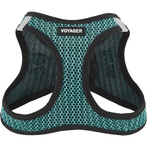 Best Pet Supplies Voyager All Season Mesh Dog Harness, Turquoise, Small