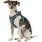 Show in main carousel: Best Pet Supplies Voyager All Season Mesh Dog Harness, Turquoise, Small slide 5 of 10