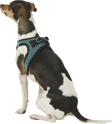 Show full view: Best Pet Supplies Voyager All Season Mesh Dog Harness, Turquoise, Small slide 6 of 10