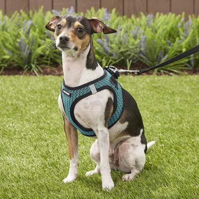 Show full view: Best Pet Supplies Voyager All Season Mesh Dog Harness, Turquoise, Small slide 7 of 10