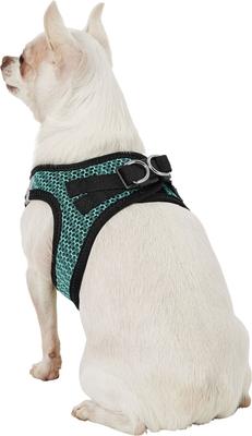 Show full view: Best Pet Supplies Voyager All Season Mesh Dog Harness, Turquoise, X-Small slide 7 of 11