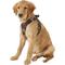 Show in main carousel: Best Pet Supplies Voyager Army Base Mesh Dog Harness, Large slide 5 of 11