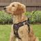 Show in main carousel: Best Pet Supplies Voyager Army Base Mesh Dog Harness, Large slide 7 of 11