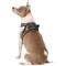 Show in main carousel: Best Pet Supplies Voyager Army Base Mesh Dog Harness, Small slide 6 of 11