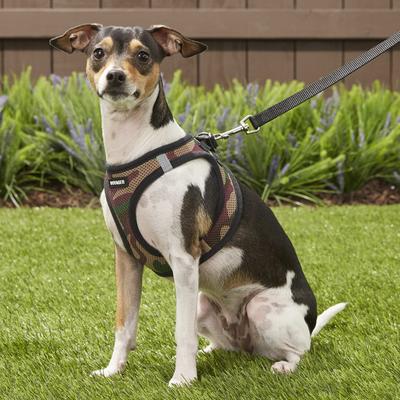 Show full view: Best Pet Supplies Voyager Army Base Mesh Dog Harness, Small slide 7 of 11
