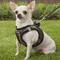 Show in main carousel: Best Pet Supplies Voyager Army Base Mesh Dog Harness, X-Small slide 7 of 11