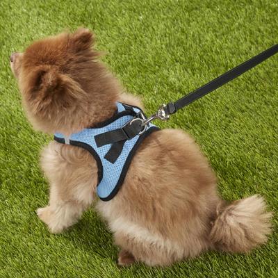 Show full view: Best Pet Supplies Voyager Black Trim Mesh Dog Harness, Baby Blue, Large slide 8 of 12