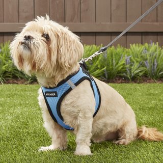 Best Pet Supplies Voyager Black Trim Mesh Dog Harness, Baby Blue, Medium slide 7 of 9