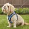 Show in main carousel: Best Pet Supplies Voyager Black Trim Mesh Dog Harness, Baby Blue, Medium slide 7 of 12