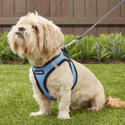 Show full view: Best Pet Supplies Voyager Black Trim Mesh Dog Harness, Baby Blue, Medium slide 7 of 12