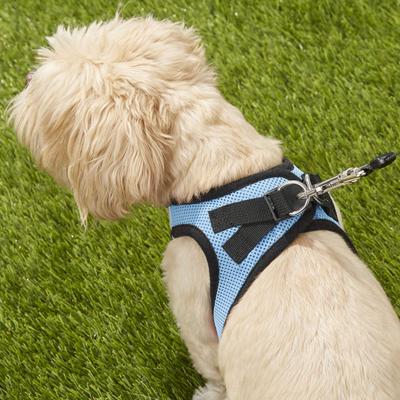 Show full view: Best Pet Supplies Voyager Black Trim Mesh Dog Harness, Baby Blue, Medium slide 8 of 12
