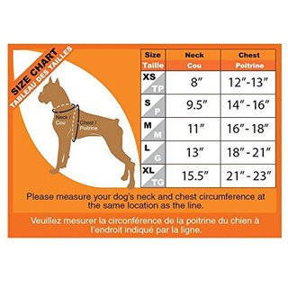 Best Pet Supplies Voyager Black Trim Mesh Dog Harness, Baby Blue, Medium slide 9 of 9