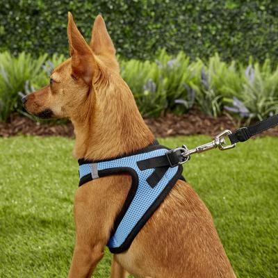 Show full view: Best Pet Supplies Voyager Black Trim Mesh Dog Harness, Baby Blue, Small slide 8 of 13