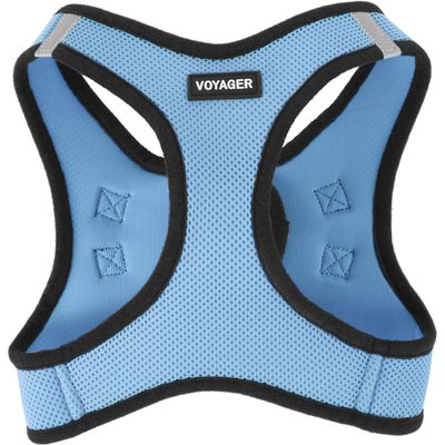Best Pet Supplies Best Pet Supplies Voyager Black Trim Mesh Dog Harness, Baby Blue, X-Large