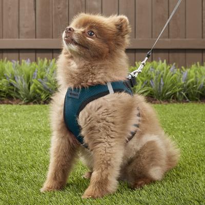Show full view: Best Pet Supplies Voyager Black Trim Mesh Dog Harness, Blue, Large slide 8 of 13