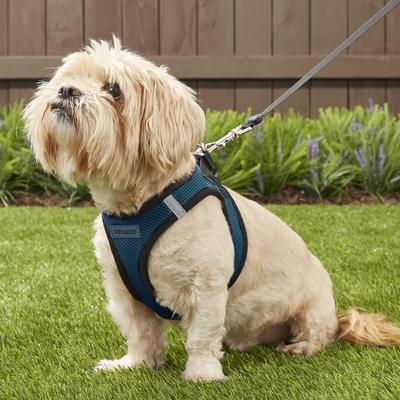 Show full view: Best Pet Supplies Voyager Black Trim Mesh Dog Harness, Blue, Medium slide 7 of 12