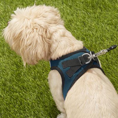 Show full view: Best Pet Supplies Voyager Black Trim Mesh Dog Harness, Blue, Medium slide 8 of 12