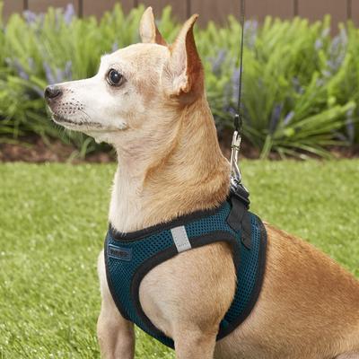 Show full view: Best Pet Supplies Voyager Black Trim Mesh Dog Harness, Blue, X-Small slide 7 of 12