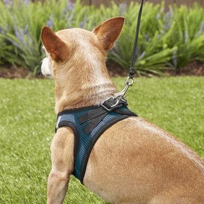 Show full view: Best Pet Supplies Voyager Black Trim Mesh Dog Harness, Blue, X-Small slide 8 of 12