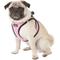 Show in main carousel: Best Pet Supplies Voyager Black Trim Mesh Dog Harness, Pink, Large slide 5 of 12