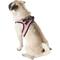Show in main carousel: Best Pet Supplies Voyager Black Trim Mesh Dog Harness, Pink, Large slide 6 of 12