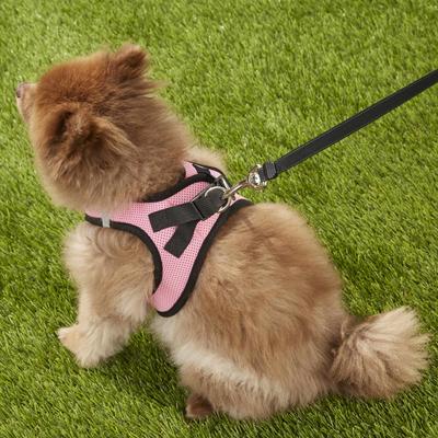 Show full view: Best Pet Supplies Voyager Black Trim Mesh Dog Harness, Pink, Large slide 8 of 12