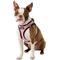 Show in main carousel: Best Pet Supplies Voyager Black Trim Mesh Dog Harness, Pink, Medium slide 5 of 12