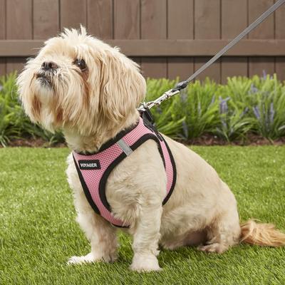 Show full view: Best Pet Supplies Voyager Black Trim Mesh Dog Harness, Pink, Medium slide 7 of 12
