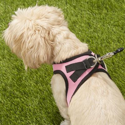Show full view: Best Pet Supplies Voyager Black Trim Mesh Dog Harness, Pink, Medium slide 8 of 12