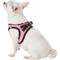 Show in main carousel: Best Pet Supplies Voyager Black Trim Mesh Dog Harness, Pink, X-Small slide 6 of 12