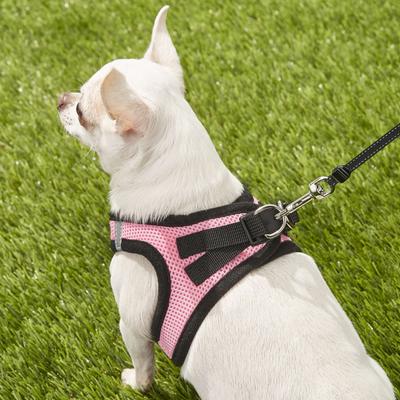 Show full view: Best Pet Supplies Voyager Black Trim Mesh Dog Harness, Pink, X-Small slide 8 of 12