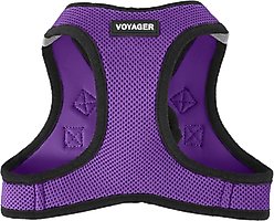 Best Pet Supplies Voyager Black Trim Mesh Dog Harness, Purple, Large