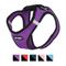 Show in main carousel: Best Pet Supplies Voyager Black Trim Mesh Dog Harness, Purple, Large slide 3 of 12