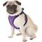 Show in main carousel: Best Pet Supplies Voyager Black Trim Mesh Dog Harness, Purple, Large slide 5 of 12