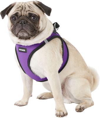 Show full view: Best Pet Supplies Voyager Black Trim Mesh Dog Harness, Purple, Large slide 5 of 12