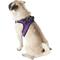 Show in main carousel: Best Pet Supplies Voyager Black Trim Mesh Dog Harness, Purple, Large slide 6 of 12